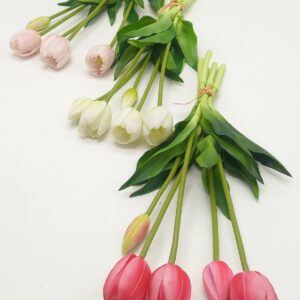 ΤΟΥΛΙΠΕΣ 5ΚΛΩΝΑΡΙΑ 40CM