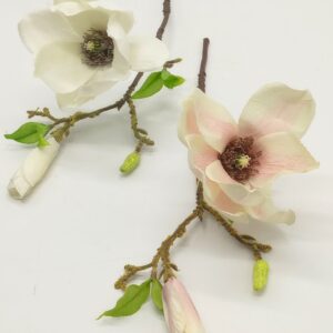 ΜΑΝΟΛΙΑ Β-56