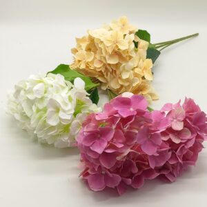 ΟΡΤΑΝΣΙΑ ΝΕΑ 50CM