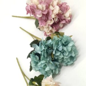 ΟΡΤΑΝΣΙΑ ΜΙΚΡΗ 30CM