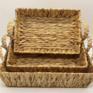 ΦΥΚΙΑ ΔΙΣΚΟΣ ΣΕΤ 3ΤΕΜ