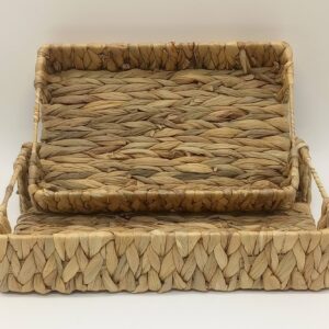 ΦΥΚΙΑ ΔΙΣΚΟΣ ΜΑΚΡΟΣΘΕΝΟΣ ΣΕΤ 2ΤΕΜ