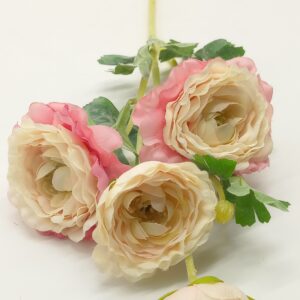 ΝΕΡΑΓΚΟΥΛΑ ΚΛΑΔΙ 65CM