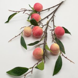 ΡΟΔΑΚΙΝΙΑ ΚΛΑΔΙ 90CM