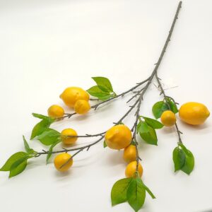 ΛΕΜΟΝΙΑ ΚΛΑΔΙ 85cm