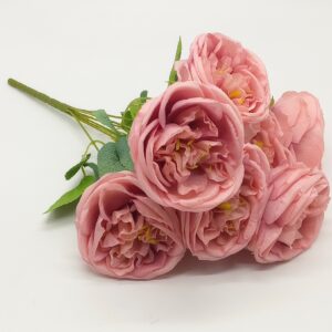 ΠΑΙΟΝΙΑ ΝΕΑ 0047-2 45CM