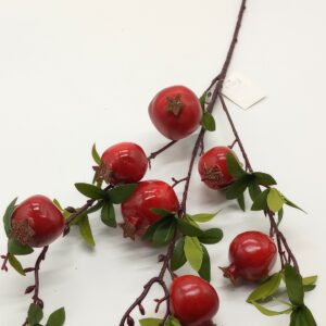 ΡΟΔΙΑ ΚΛΑΔΙ 80CM