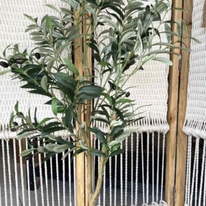 ΕΛΙΑ 120CM